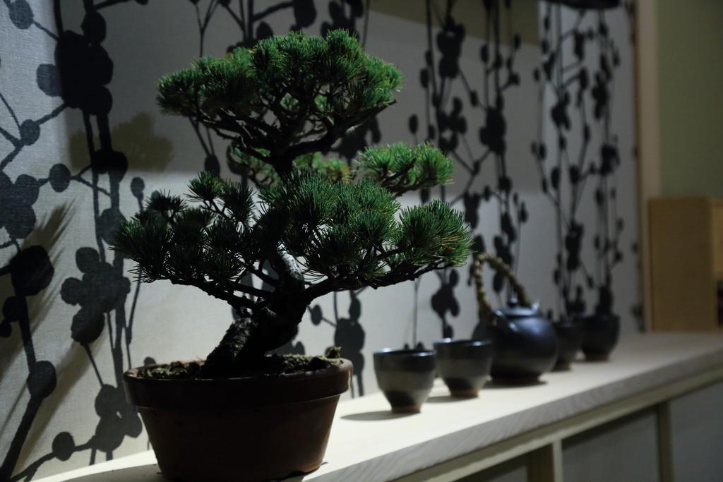 京都市 紫野 卯庵ヴィラ エクステリア 写真